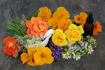 Image showing  Natural Flower and HerbTherapy