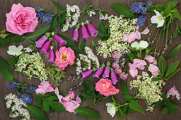 Image showing Medicinal Flower and Herb Collection