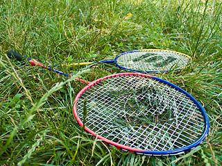 Image showing Two badminton rackets in grass