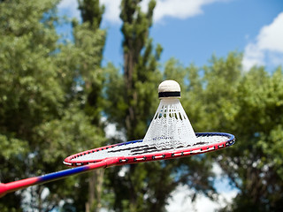 Image showing Volleyball racket ready to play