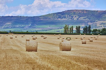 Image showing Agricultural field with bales