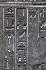 Image showing Ancient Hieroglyphic Script