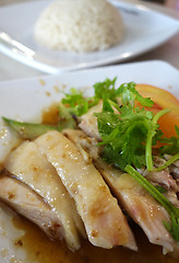 Image showing Singapore chicken rice