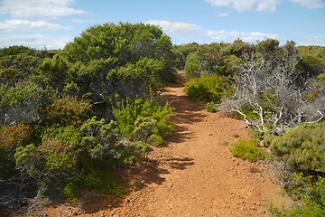 Image showing Landscape in Tasmania