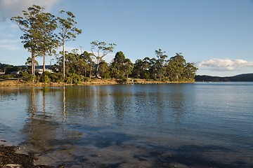 Image showing Seaside bay in Tasmania