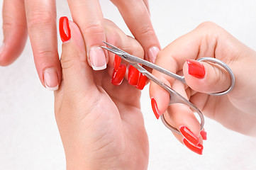 Image showing Cuticles cutting with scissors