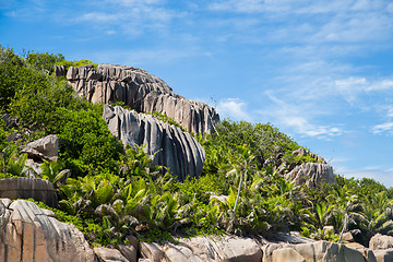 Image showing stones and vegetation on seychelles island