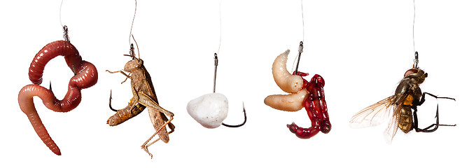 Image showing set of fishing baits on the hook isolated on white background