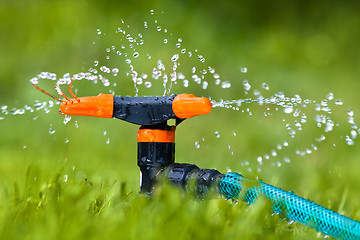 Image showing garden sprinkler