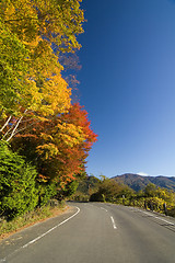 Image showing Japanese Country Road