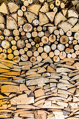 Image showing Pile of wood logs in the garden