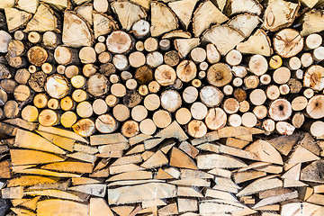 Image showing Pile of wood logs in the garden