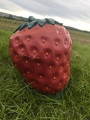 Image showing Funny giant strawberry sculpture in the fields