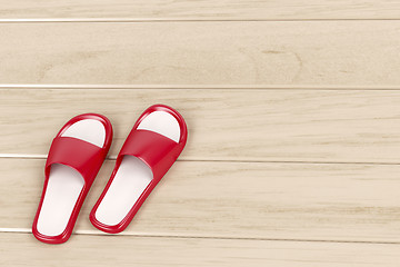 Image showing Red slippers