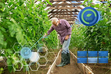 Image showing senior man with watering can at farm greenhouse