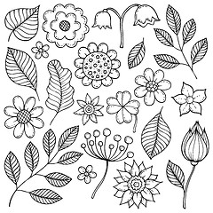 Image showing Drawings of flowers and leaves theme 1