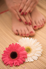 Image showing female feet and hands at spa salon