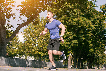 Image showing Man running in park at morning. Healthy lifestyle concept