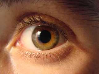 Image showing eye macro