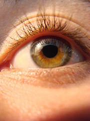 Image showing eye macro