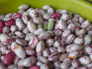 Image showing Crimson beans legumes vegetables