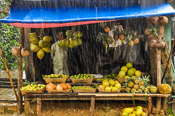 Image showing Fruit in rain in Bangladesh