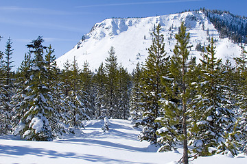 Image showing Hayrick Butte