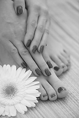 Image showing female feet and hands at spa salon