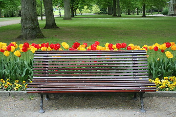 Image showing Sofa in park