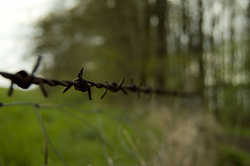 Image showing barbwire
