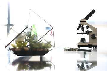 Image showing Analytical laboratory. Microscope