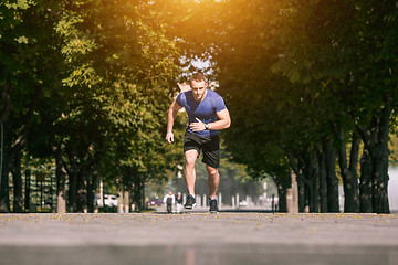 Image showing Man running in park at morning. Healthy lifestyle concept