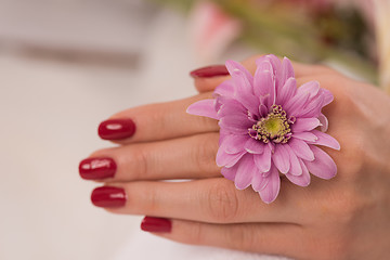 Image showing woman fingers with french manicure