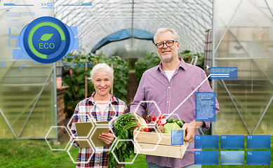 Image showing senior couple with box of vegetables on farm