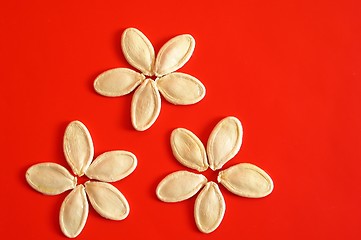 Image showing Pumpkin seeds on red background