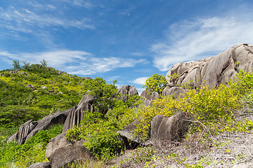 Image showing stones and vegetation on seychelles island