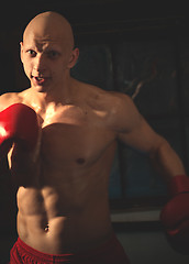 Image showing Aggressive boxer in training