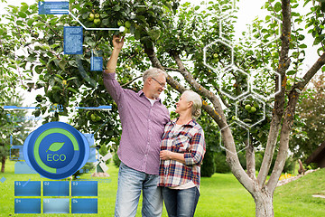 Image showing senior couple with apple tree at summer garden