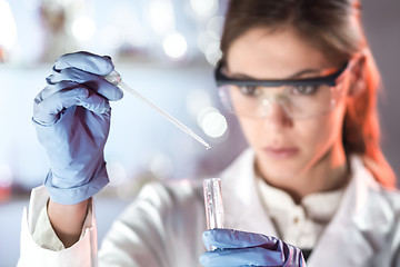 Image showing Young scientist pipetting in life science laboratory.