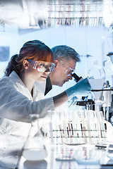 Image showing Health care researchers working in scientific laboratory.