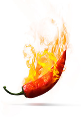 Image showing Red hot pepper