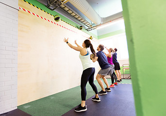 Image showing group of people with medicine ball training in gym