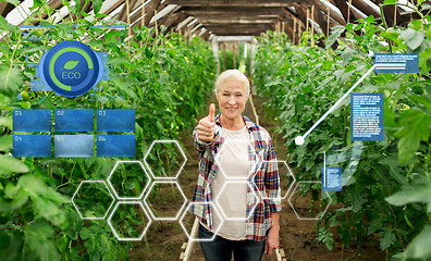 Image showing happy senior woman at farm greenhouse