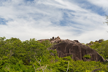 Image showing stones and vegetation on seychelles island