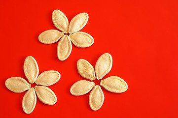 Image showing Pumpkin seeds on red background