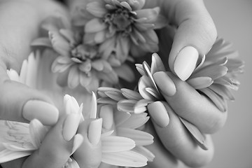 Image showing woman hands with manicure holding flower