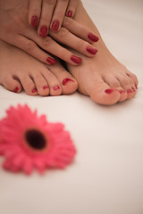 Image showing female feet and hands at spa salon