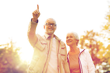 Image showing senior couple in park