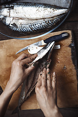 Image showing Woman preparing mackerel fish