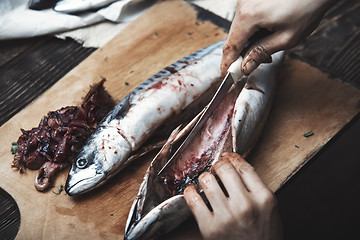 Image showing Woman preparing mackerel fish